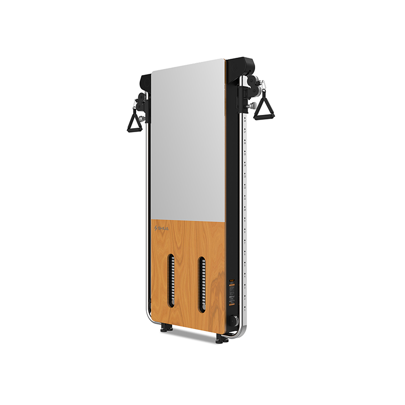 SHUA/舒華壁掛式拉繩訓(xùn)練器SH-G699